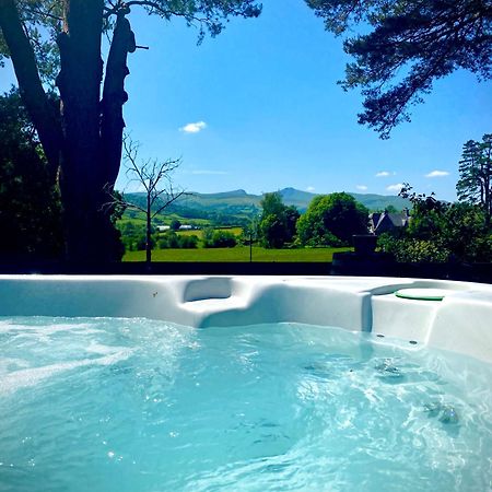 Mountain View Cottage, Hot Tub , Stunning Views Llanhamlach Exterior photo